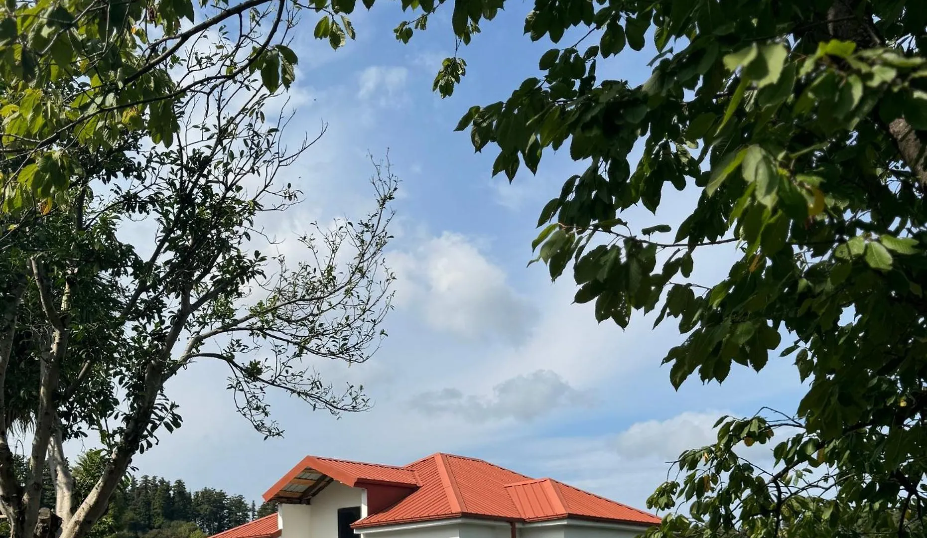 Countryside Private House Apartment Batumi Georgia